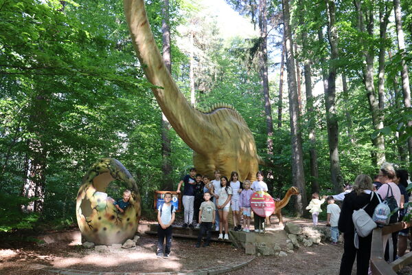 Excursie Brașov 2026