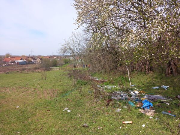 Săptămâna Verde 2023